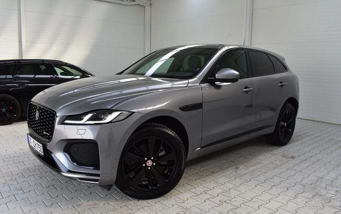 Jaguar F-Pace cena 204900 przebieg: 62000, rok produkcji 2020 z Ryn małe 781